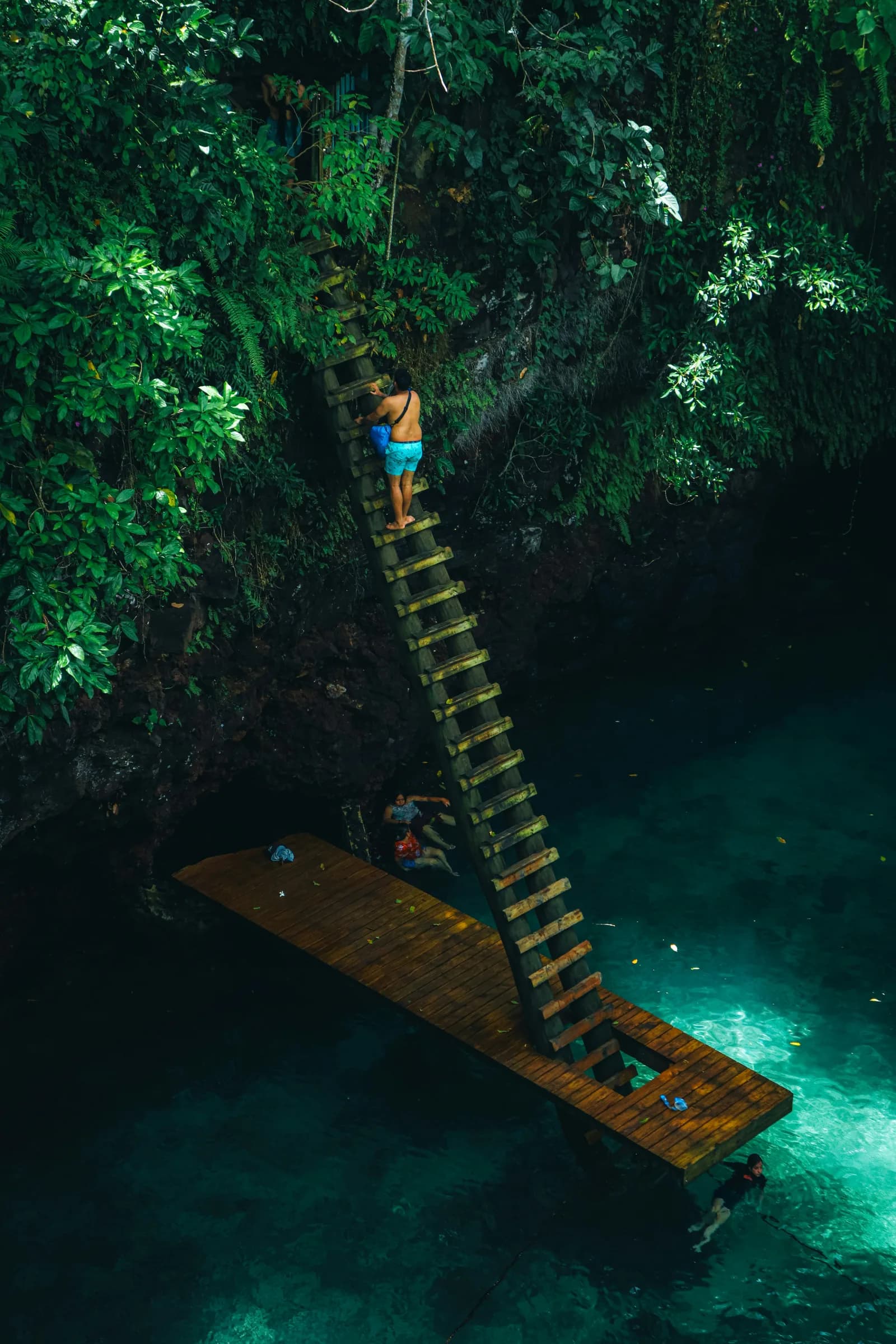 Lush natural landscape with access to water