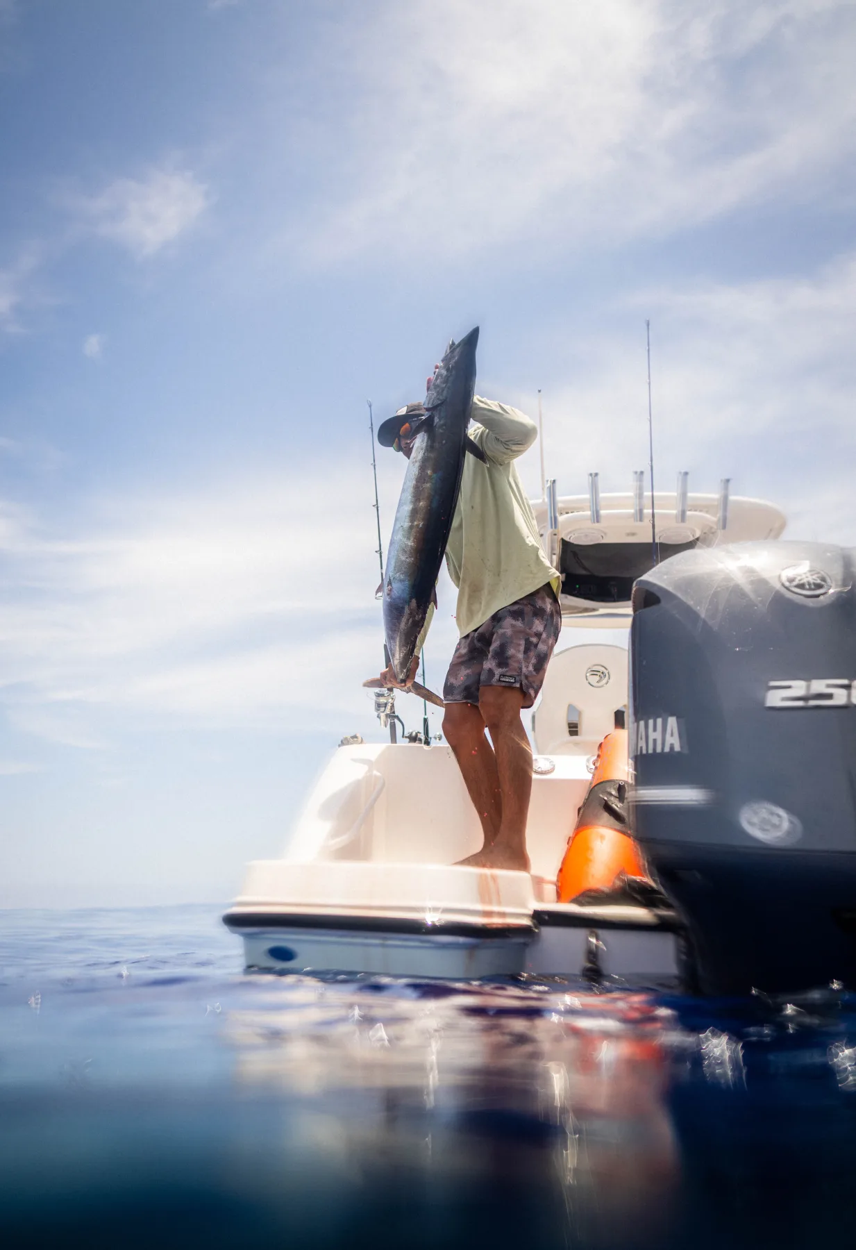 Big-game fish brought alongside the boat
