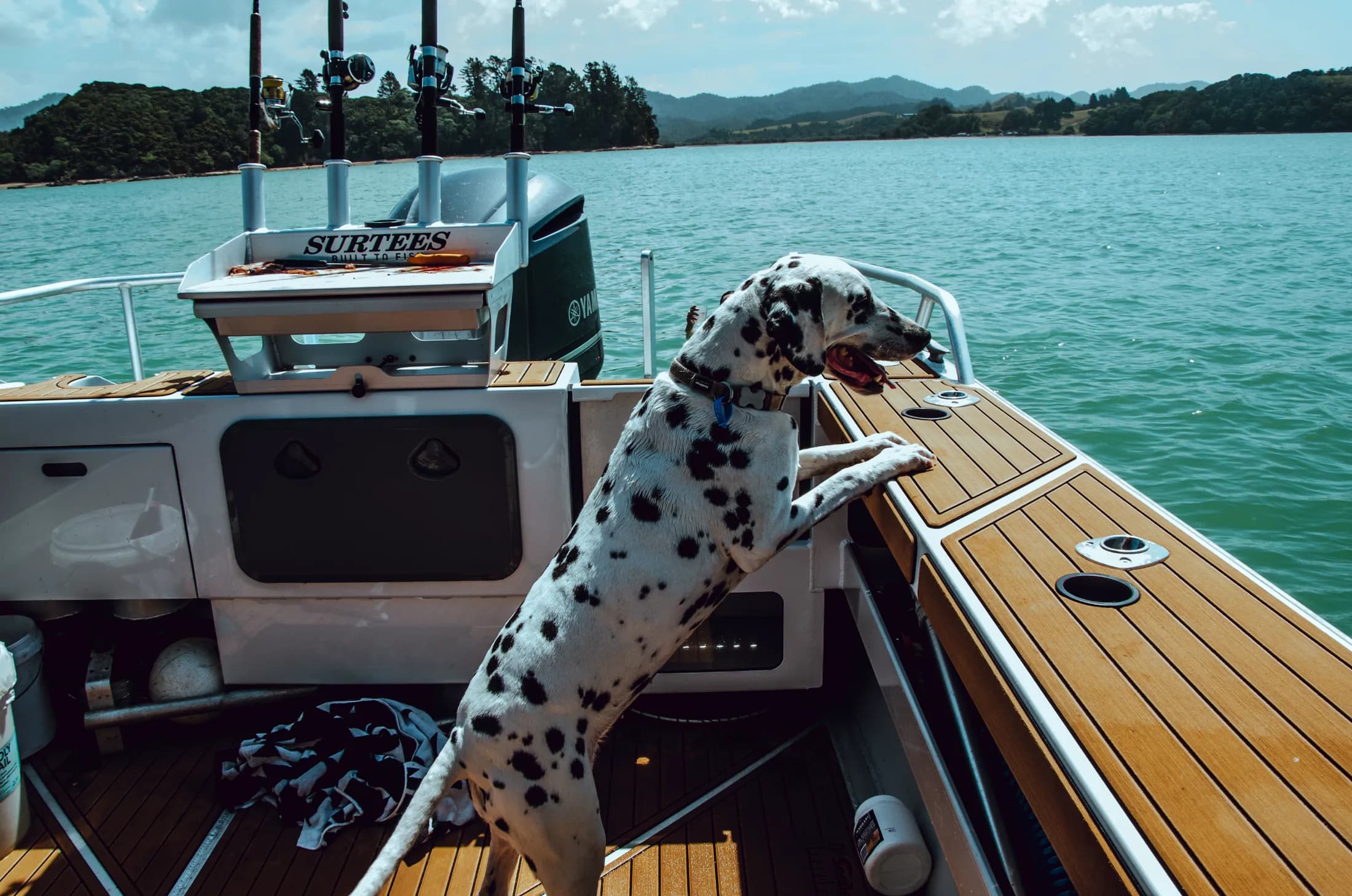 Pet-Friendly Charter